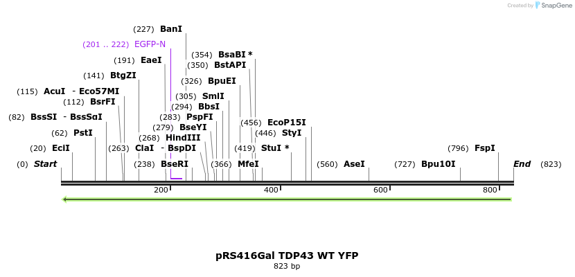 33698_map