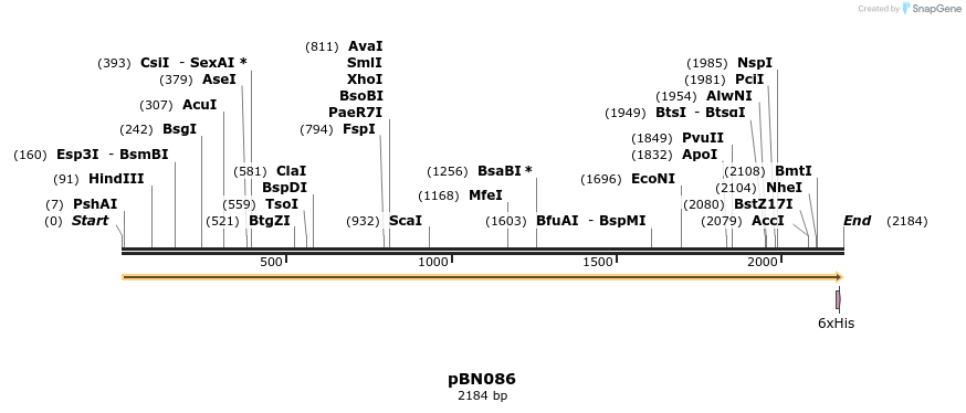 336980_map