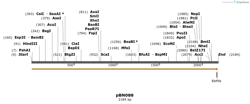 336982_map