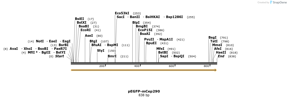 33699_map