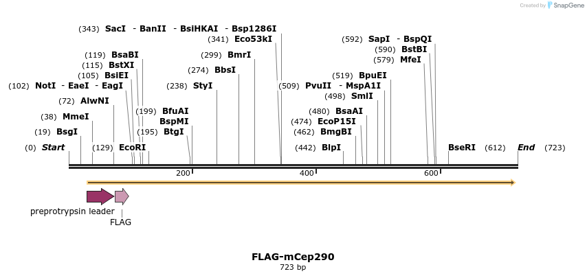 33701_map