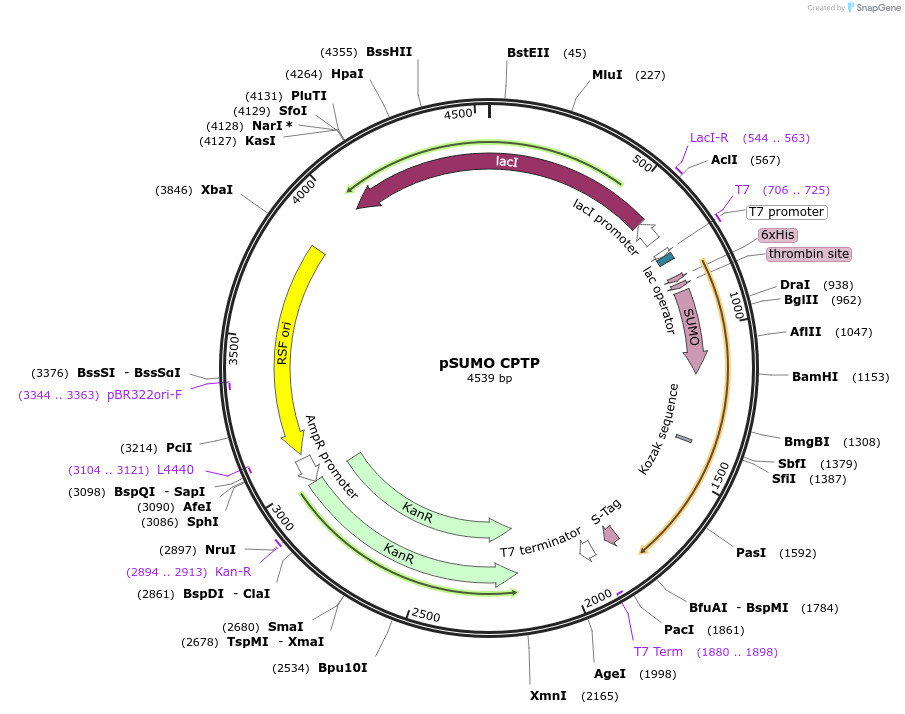 337020_map