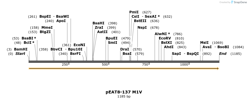 337068_map