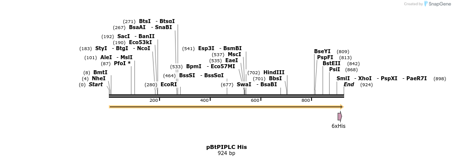 337069_map