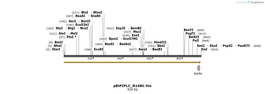 337070_map