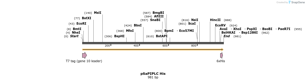 337071_map