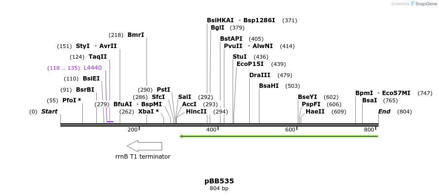 33709_map