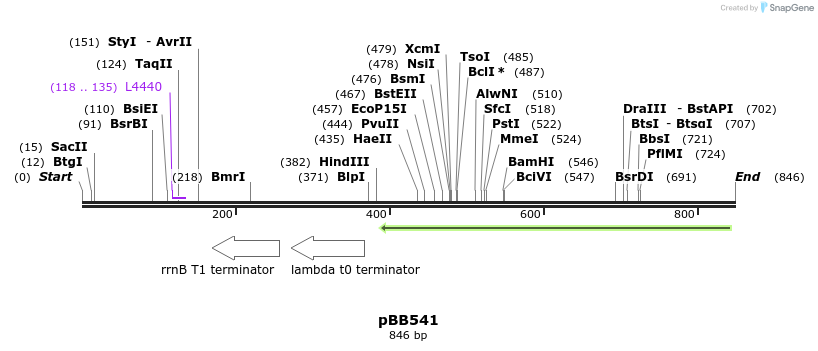 33712_map