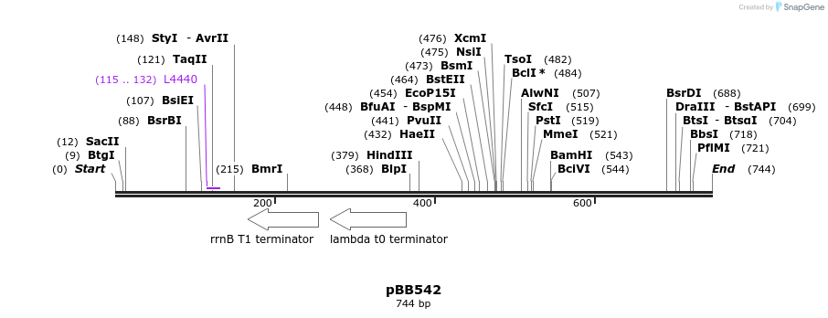 33713_map