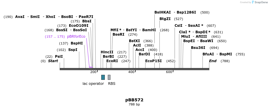 33718_map