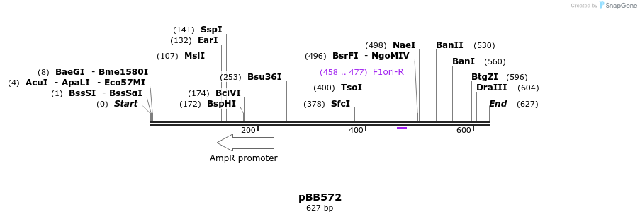 33719_map
