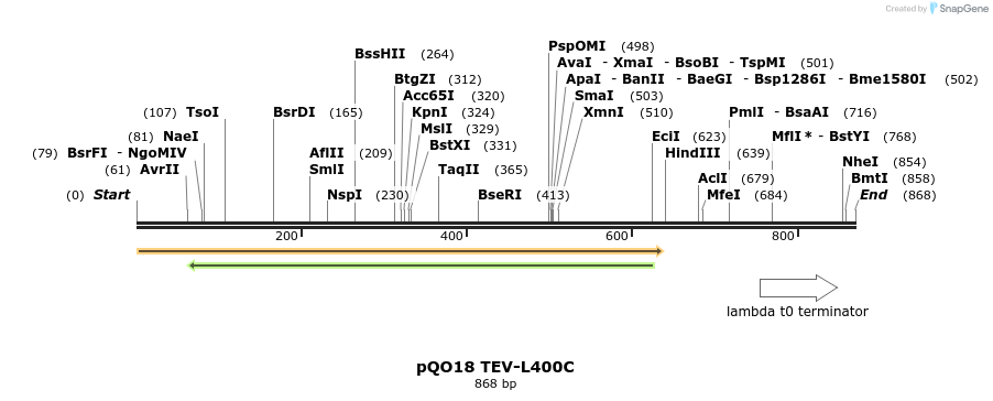 33721_map