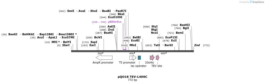 33722_map