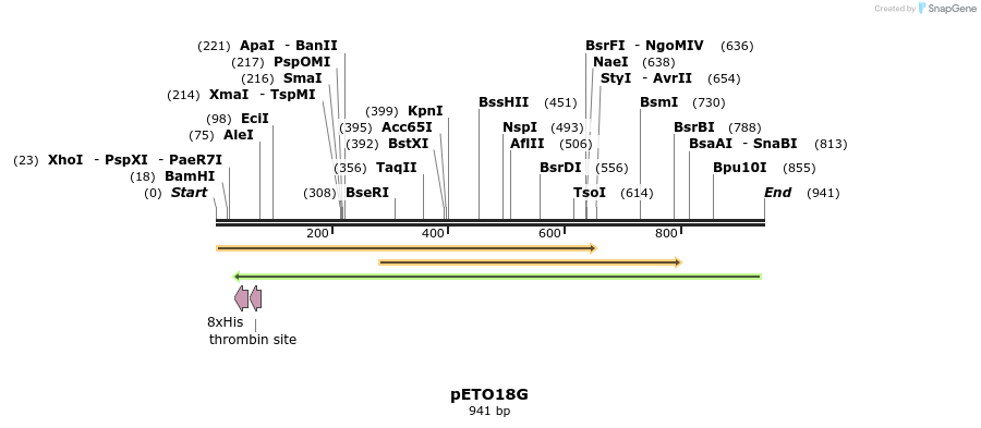 33723_map