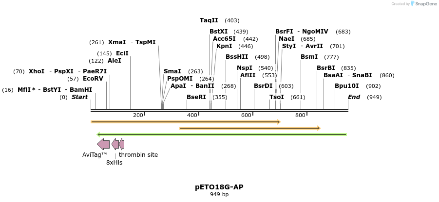 33724_map