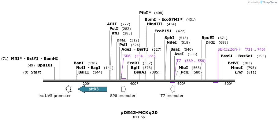 33734_map