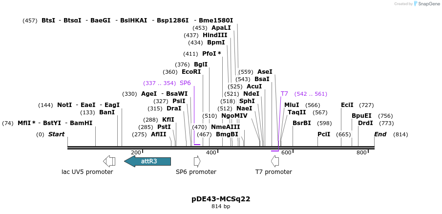 33735_map