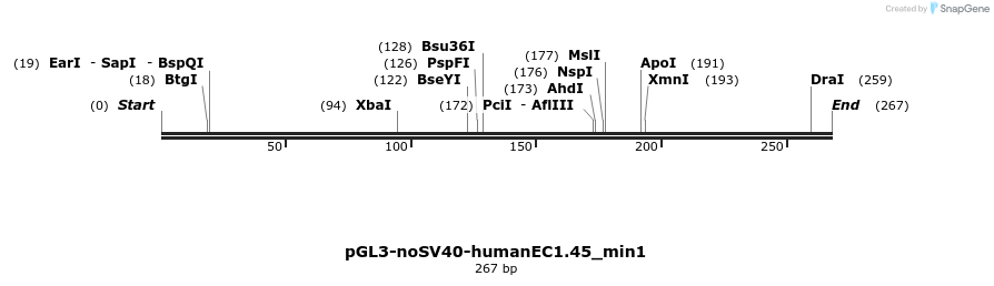 337400_map