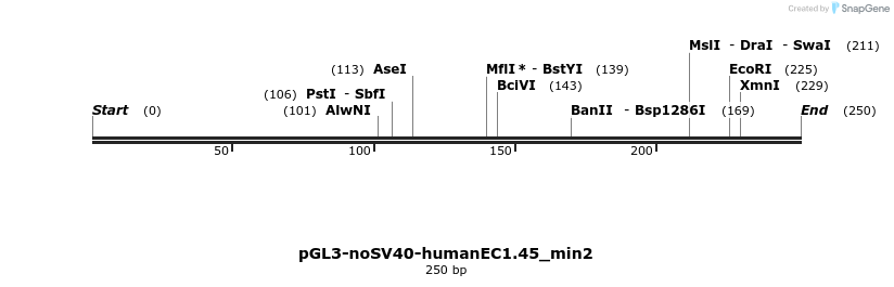 337402_map