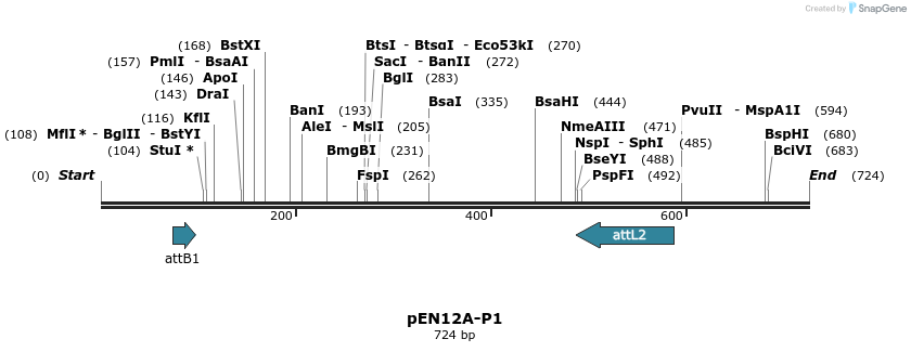 33741_map