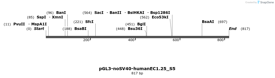 337418_map