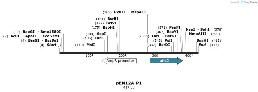33742_map
