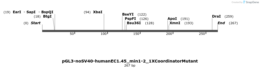 337426_map