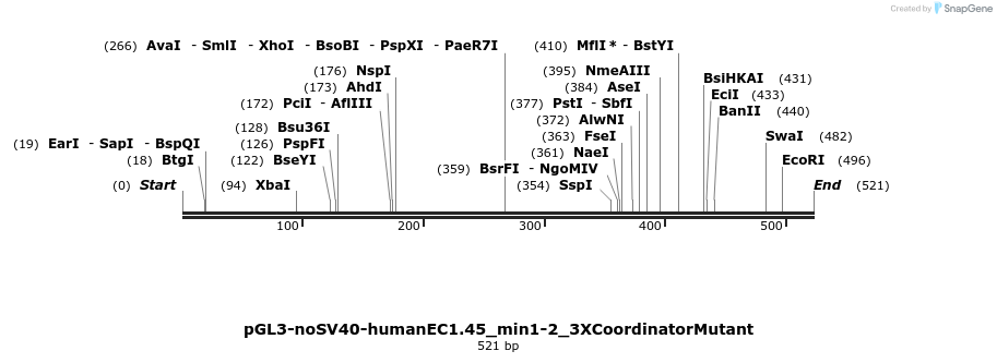 337428_map