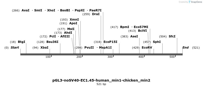337436_map