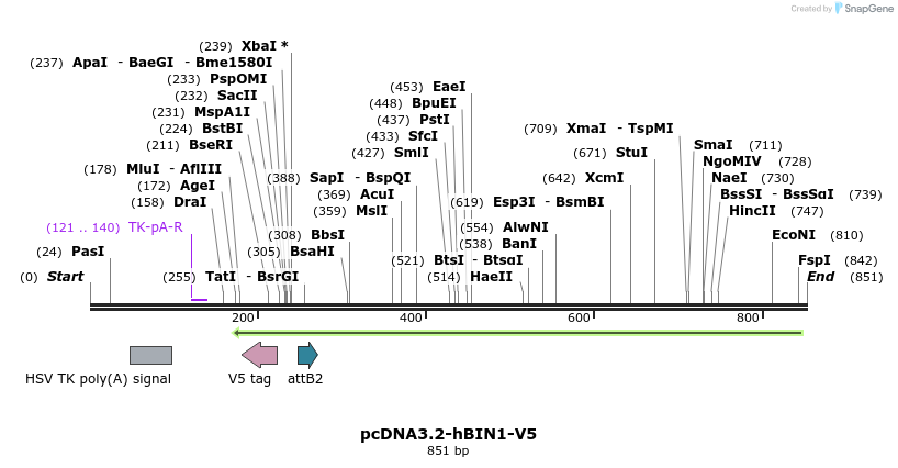 33746_map