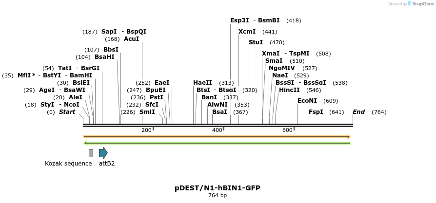 33747_map