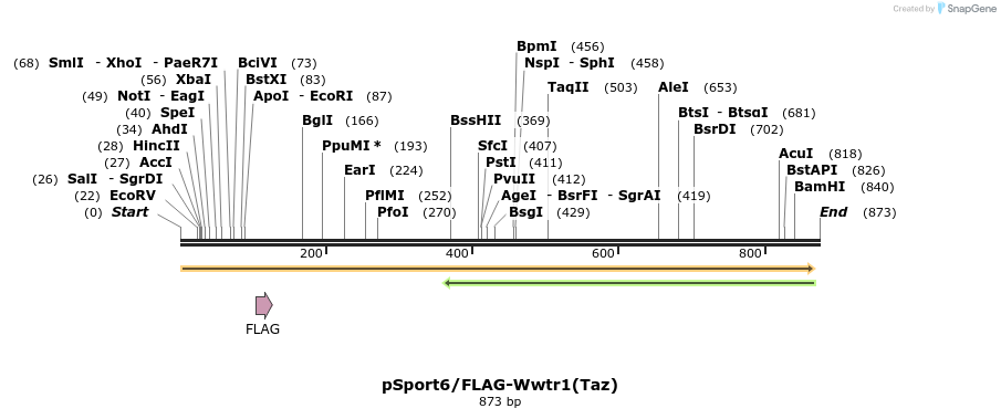 33750_map