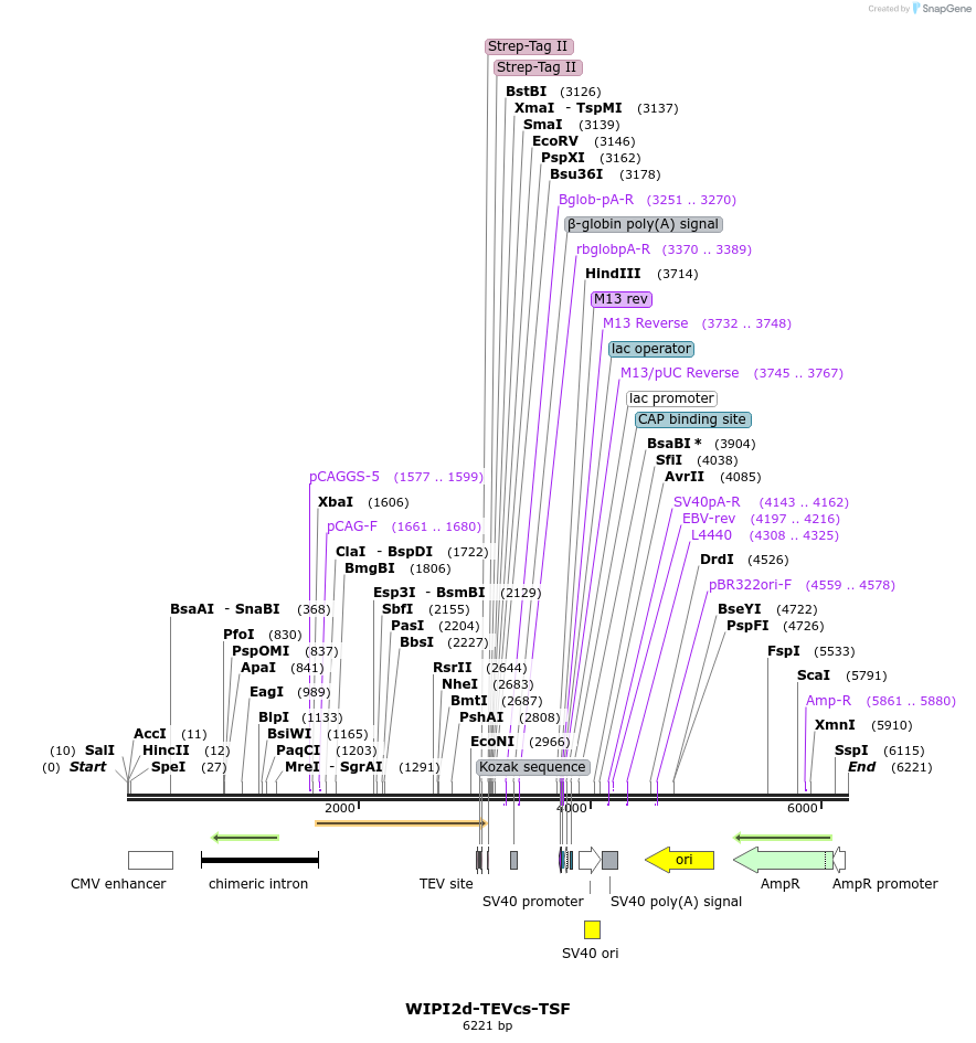 337507_map