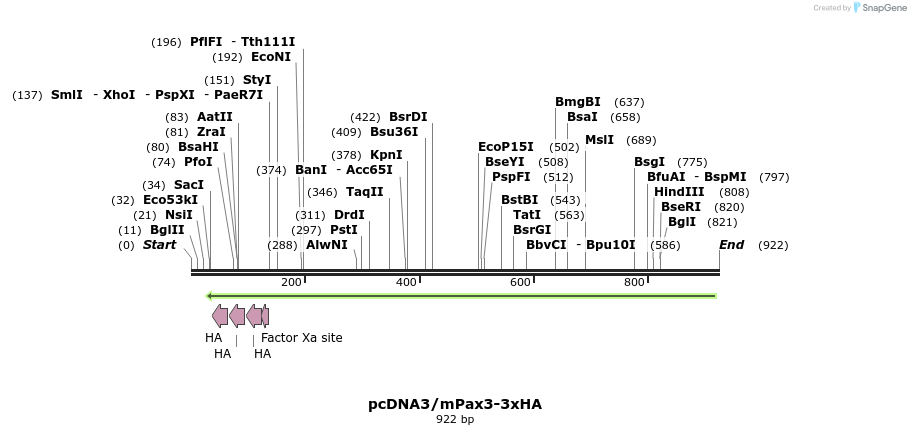 33751_map