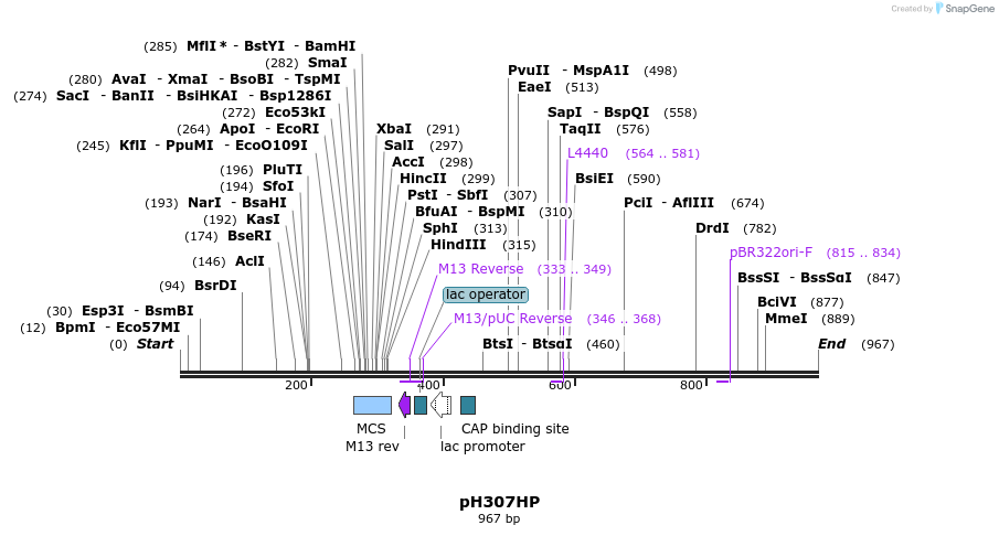 33753_map