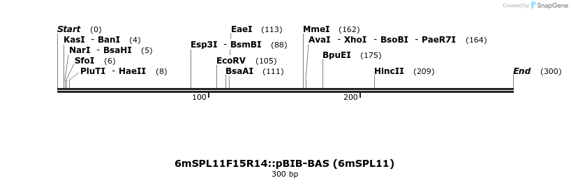 33756_map