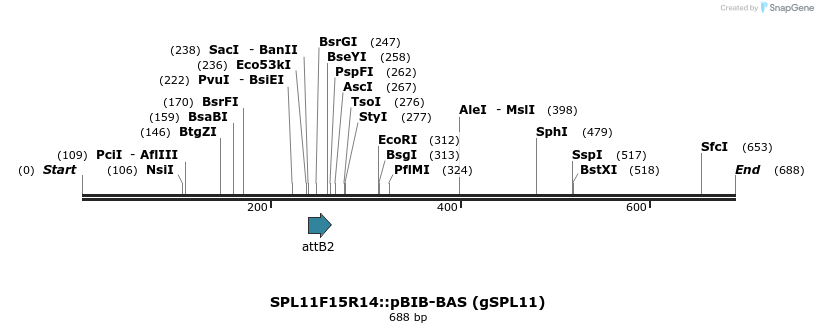 33759_map