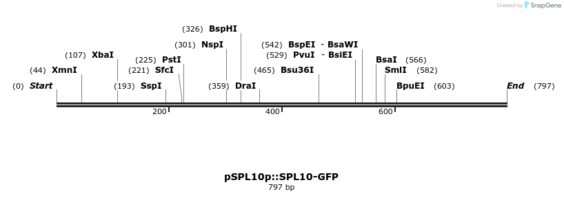 33761_map