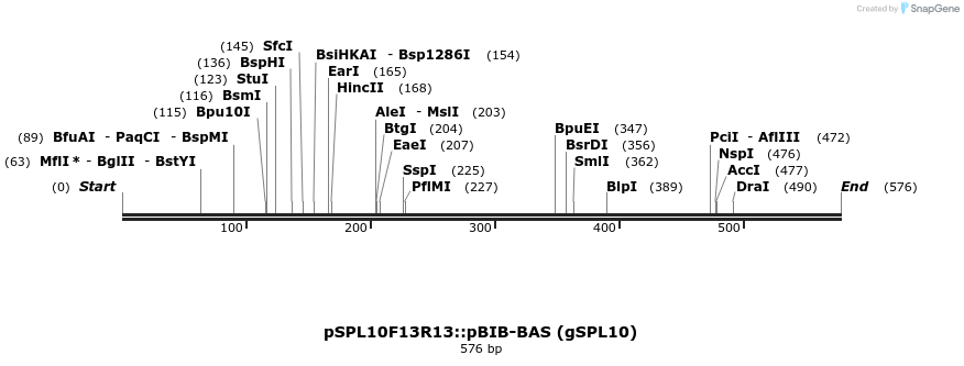 33763_map