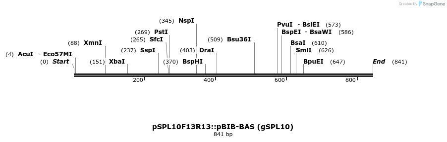 33764_map