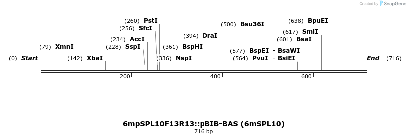 33767_map