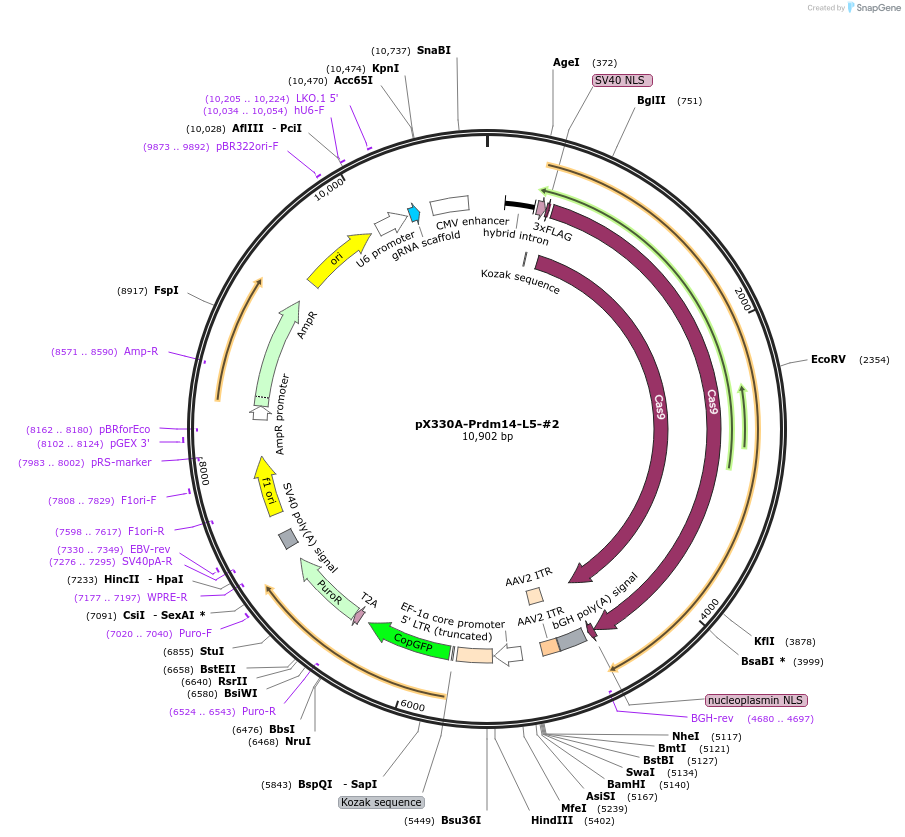 337697_map