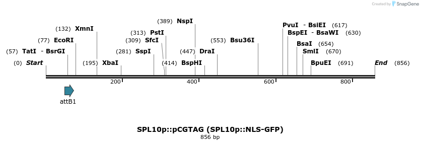 33770_map