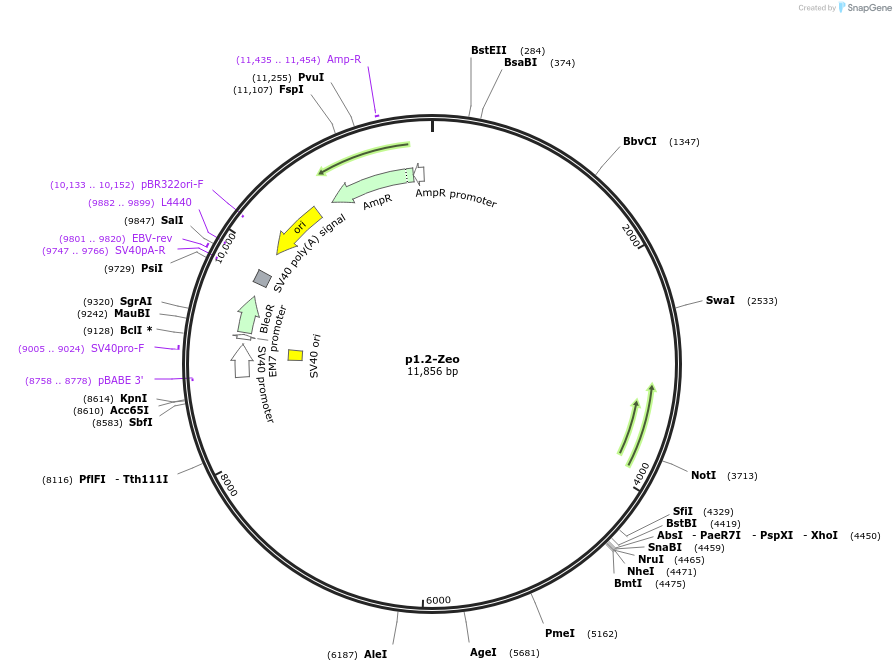 337732_map