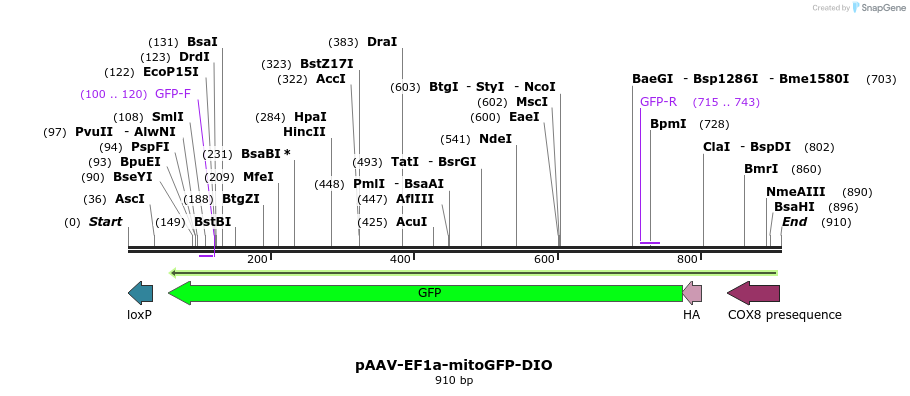 337801_map