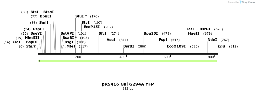 33784_map