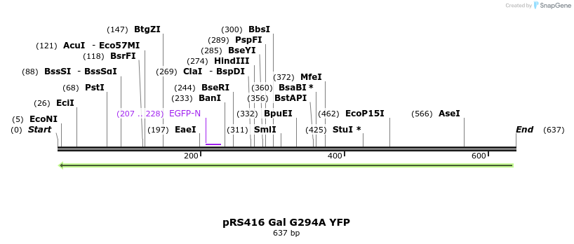 33785_map