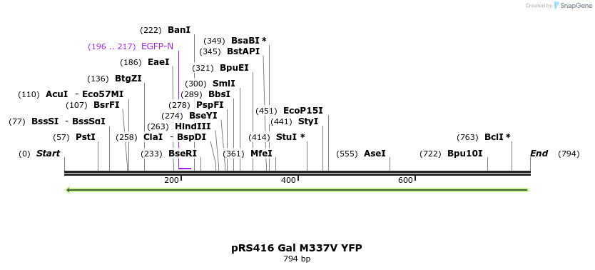 33786_map