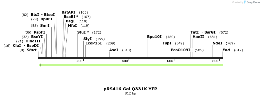 33787_map