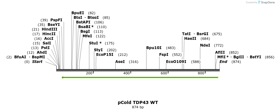 33788_map